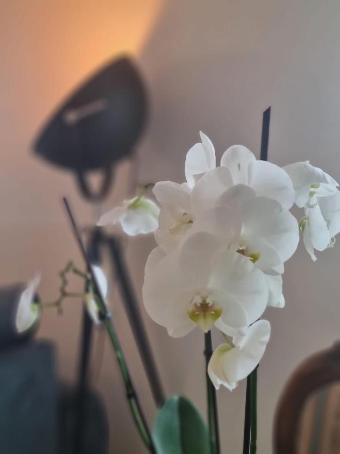 Wellness Ferienhaus Мехерніх Екстер'єр фото